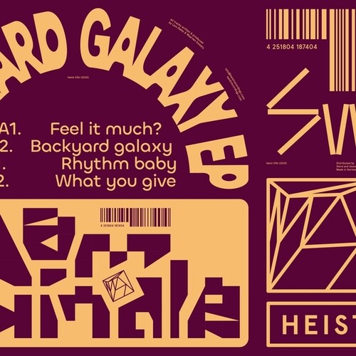 Dam Swindle: Backyard Galaxy - 12-INCH SINGLE