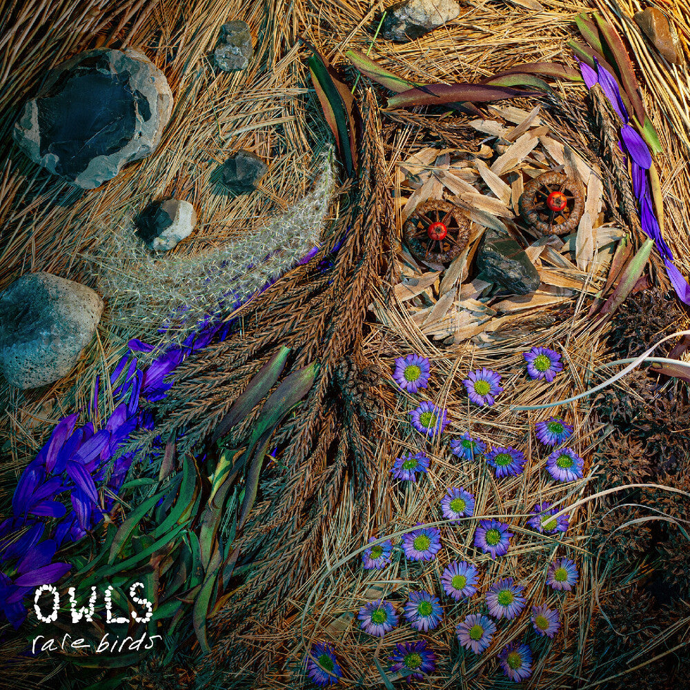 Owls- Rare Birds (Blk) (Uk) ( LP )