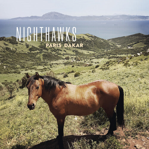 The Nighthawks: Paris Dakar - VINYL