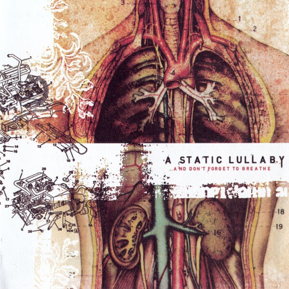 Static Lullalby- & Don't Forget To Breathe [Reissue] ( LP )