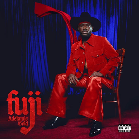Adekunle Gold- Fuji ( LP )