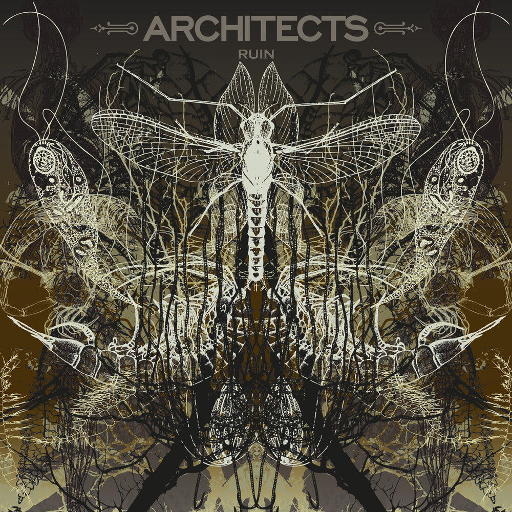 Architects- Ruin [Limited Edition] (Pict) ( LP )