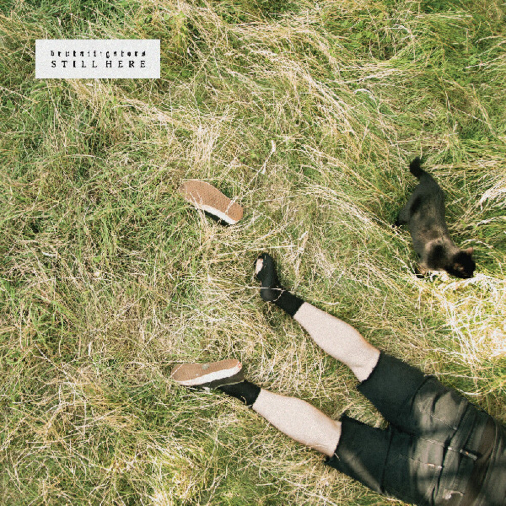 Brutalligators- Still Here [Colored Vinyl] (Grn) [Indie Exclusive] (Mrb) ( LP )