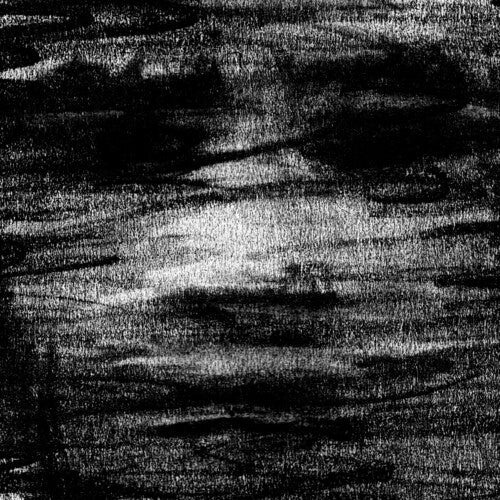 Born Erased: Birds Drink My Blood - COMPACT DISCS