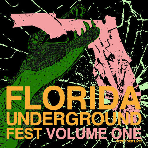 Various Artists: Florida Underground Fest 1 (Various Artists) - VINYL