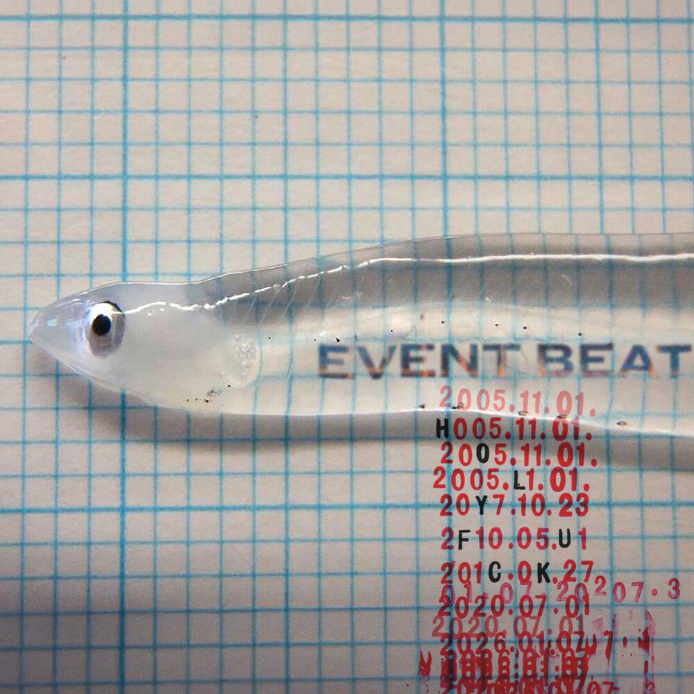 Holy Fuck- Event Beat ( LP )