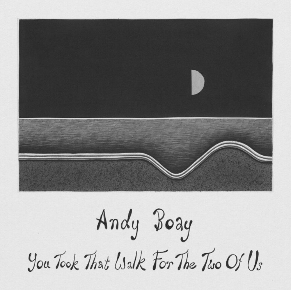 Andy Boay- You Took That Walk For The Two Of Us ( LP )