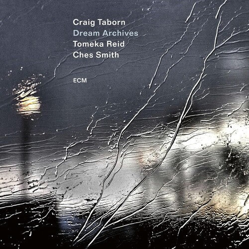 Craig Taborn: Dream Archives - CD