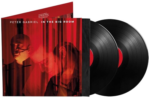 Peter Gabriel: In The Big Room - VINYL