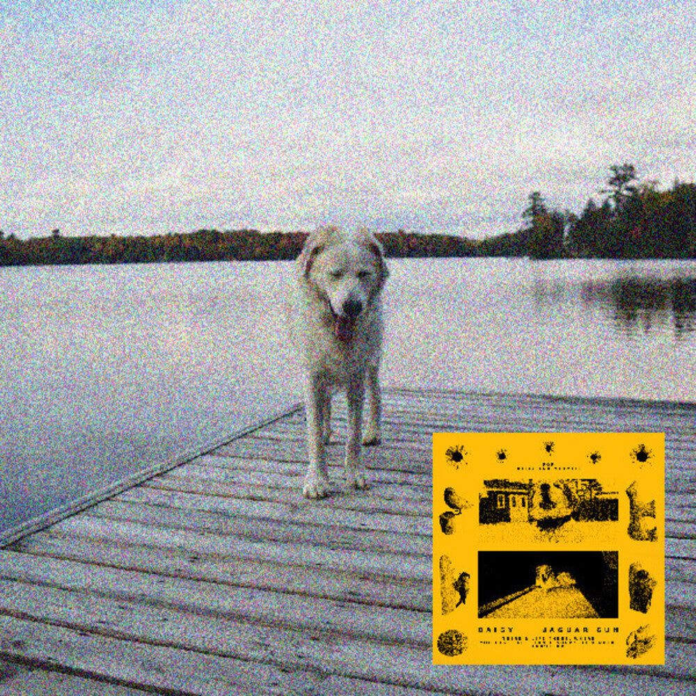 Jaguar Sun- Daisy (Blk) [Colored Vinyl] (Ylw) ( LP )