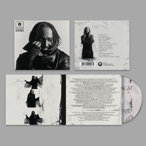 Thundercat: Distracted - CD