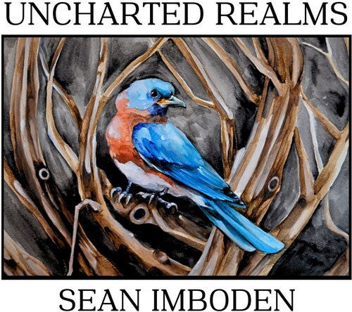 Sean Imboden: Uncharted Realms - CD