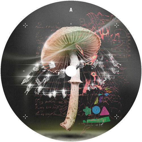 Lusu: Move 2 The Groove - 12-INCH SINGLE