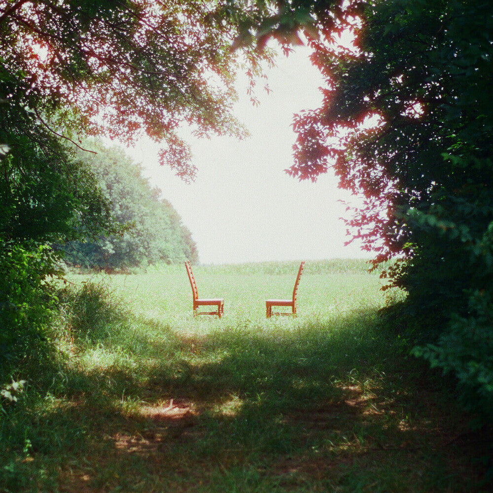 Ratboys- Singin' to an Empty Chair [Indie Exclusive Brown and Green Marbled] ( LP )