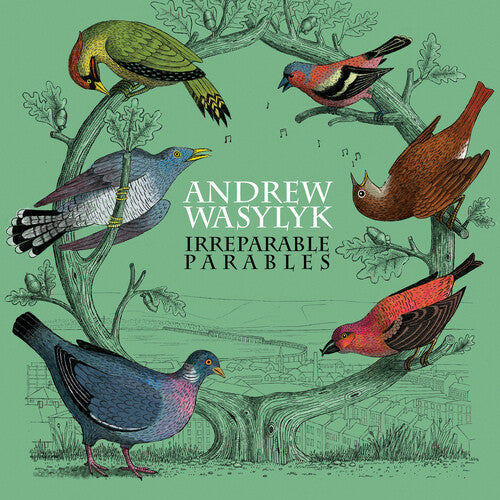 Andrew Wasylyk: Irreparable Parables - Pink Vinyl { Record }