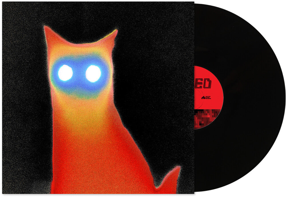 Basement- Wired ( LP )