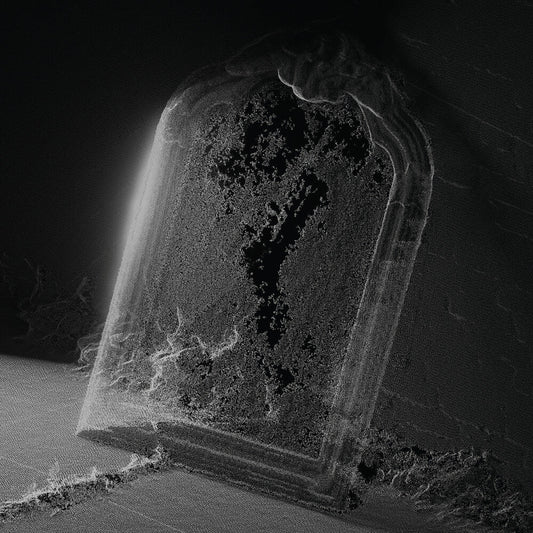 Visible Cloaks- Paradessence ( LP )