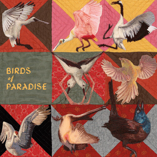 Thomas Dollbaum: Birds of Paradise - Pink { Record }