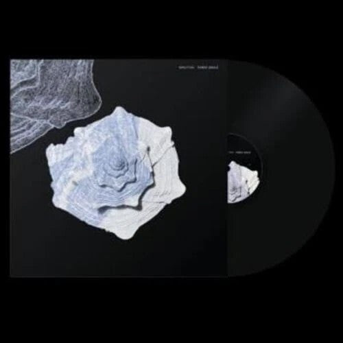 Fabio Anile: Minutiae - VINYL