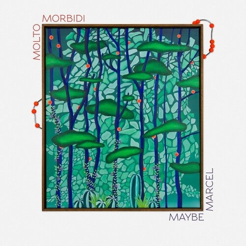 Molto Morbidi: Maybe Marcel { Record }
