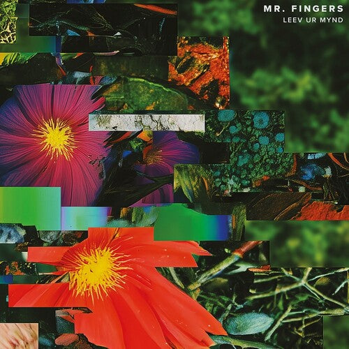 Mr. Fingers: Leev Ur Mynd { Record }