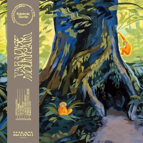 Katatonic Silentio: Paradise Mountain { Record }