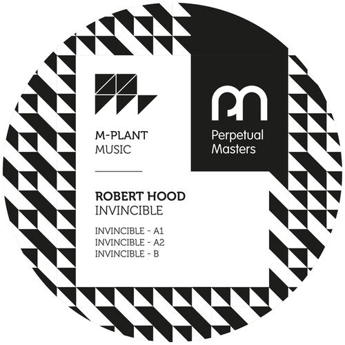 The Vision: Invincible - 12-INCH SINGLE