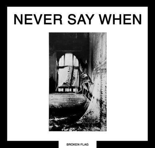 Various Artists: Never Say When { Record }