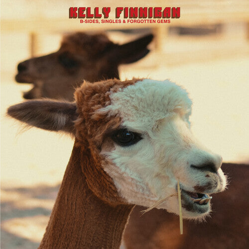 Kelly Finnigan: B-Sides, Singles & Forgotten Gems - CD