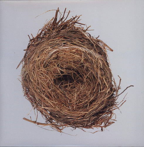 Wilco: A Ghost Is Born { Record }