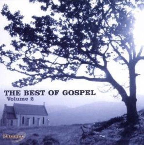 Various Artists: Best of Gospel 2 - COMPACT DISCS