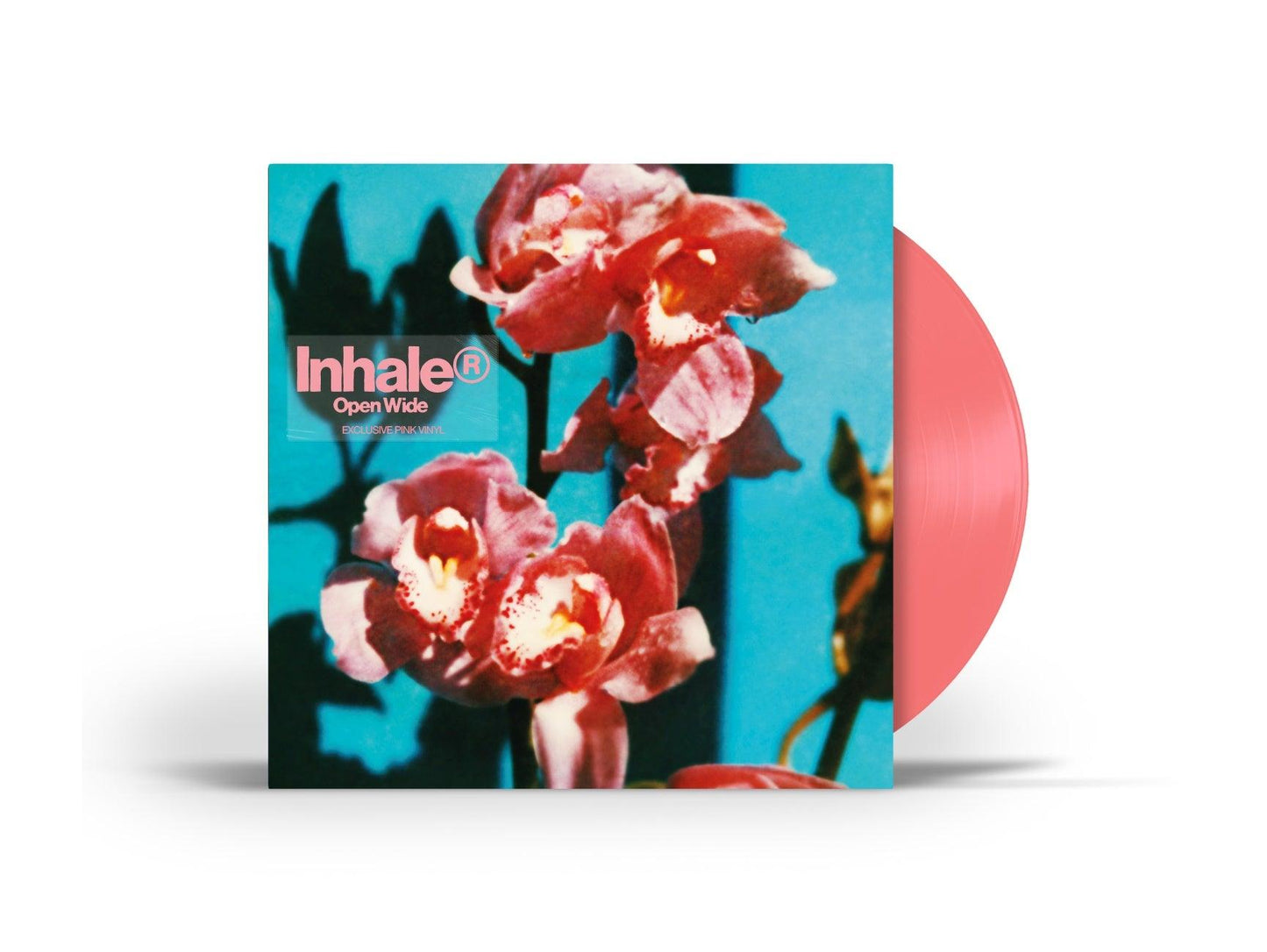Inhaler- Open Wide [Pink LP] (Indie Exclusive Vinyl) ( LP )