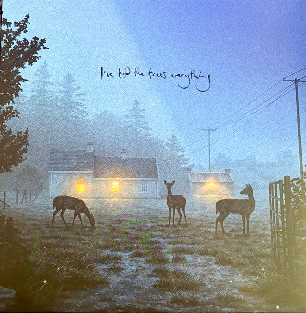 Dermot Kennedy- I've Told The Trees Everything ( LP )