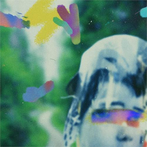 Team Me- Something In The Making ( LP )