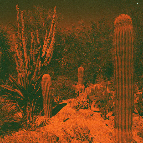 Anticipation (Indie Exclusive Vinyl) ( LP )