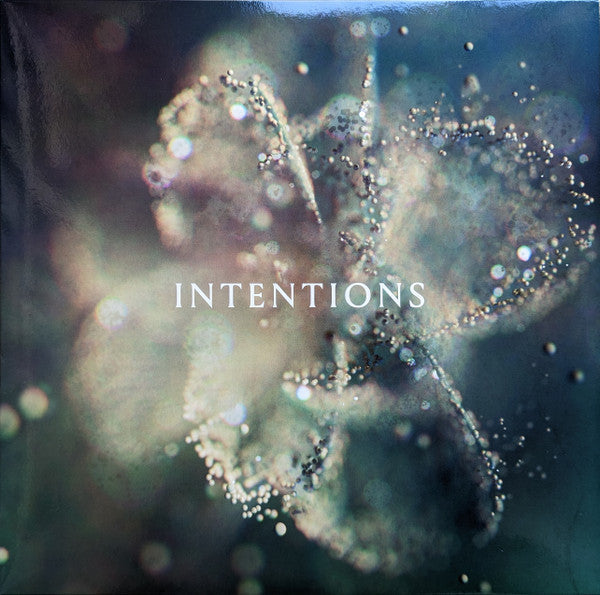 Anna- Intentions ( LP )