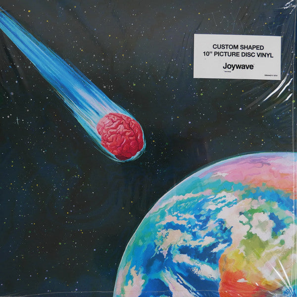 Joywave- Brain Damage ( LP )