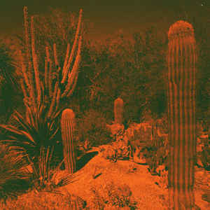 Anticipation ( LP )