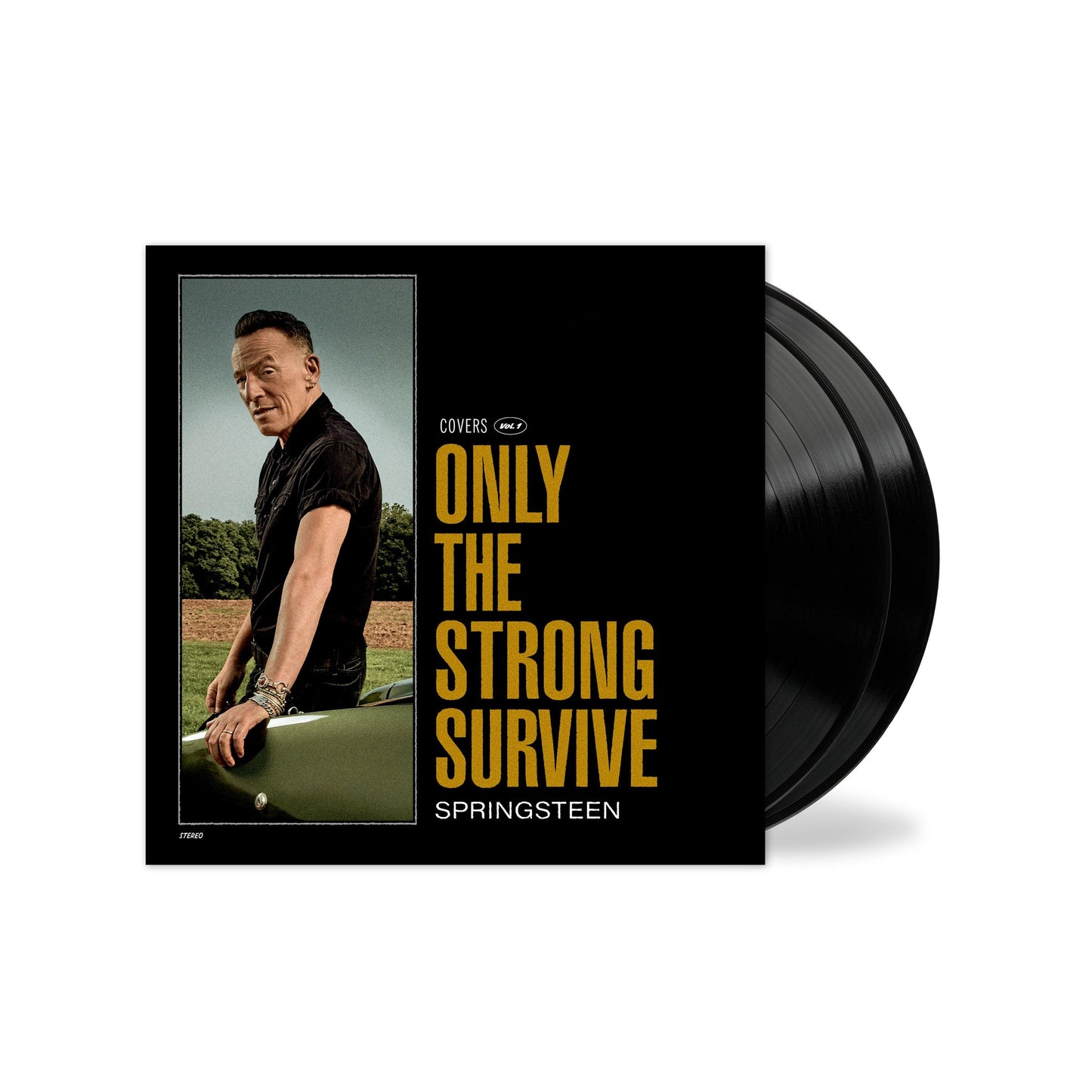 Bruce Springsteen- Only The Strong Survive ( LP )