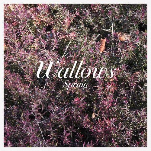 Wallows- Spring EP ( LP )