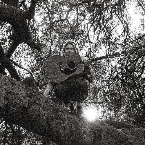 Ty Segall- Hello Hi ( LP )