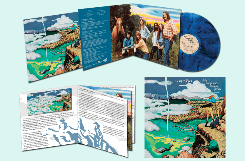 Marshall Tucker Band- A New Life ( LP )