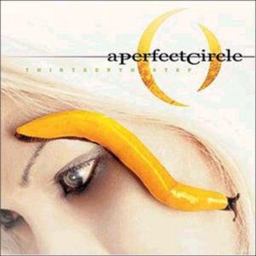 A Perfect Circle- Thirteenth Step ( LP )