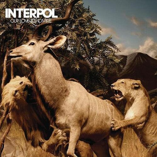 Interpol- Our Love To Admire ( LP )
