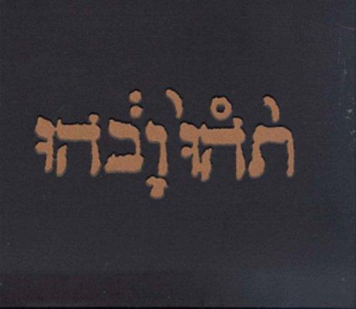 Godspeed You! Black Emperor- Slow Riot For New Zero Kanada E.P. ( LP )