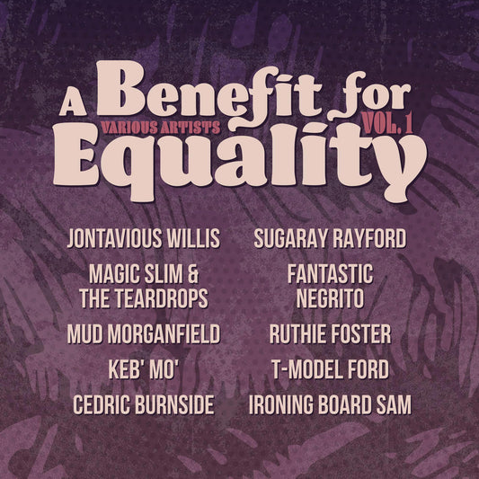Various- Benefit For Equality 1 (Indie Exclusive Vinyl) ( LP )