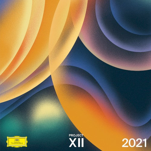 Various Artists- Project XII 2021 (Various Artists) ( LP )