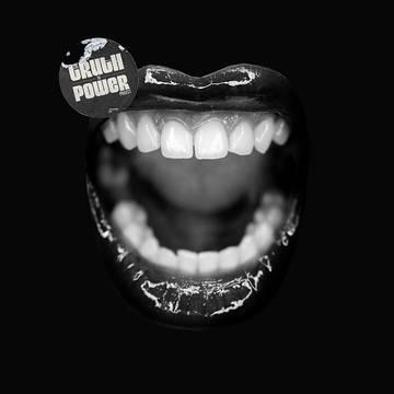Various- The Truth To Power Project -RSD21 ( LP )