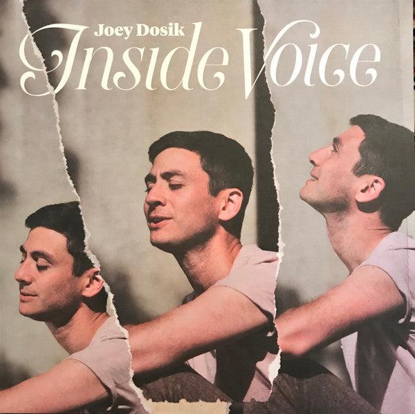 Joey Dosik (Vulfpeck)- Inside Voice ( LP )