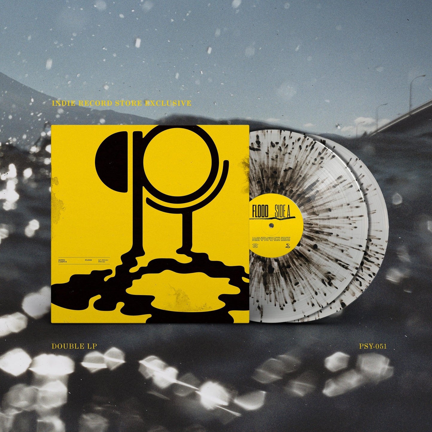 Hippo Campus- Flood (Indie Exclusive Vinyl) (Clear Galaxy 2x Vinyl LP) ( LP )